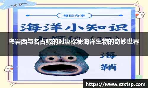 鸟岩西与名古鲸的对决探秘海洋生物的奇妙世界